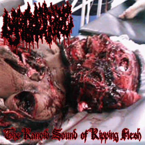 Lymphocytic : The Rancid Sound of Ripping Flesh